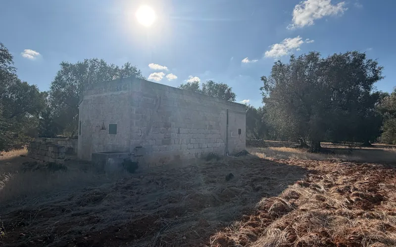 Dům s pozemkem 8000m2 13 minut od moře
