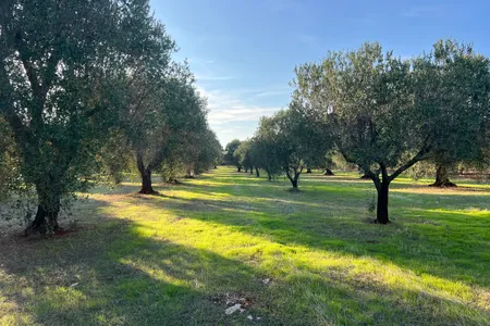 Stavební pozemek 12.500m2