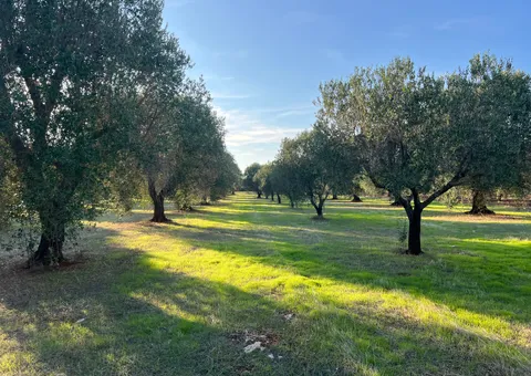 Stavební pozemek 12.500m2