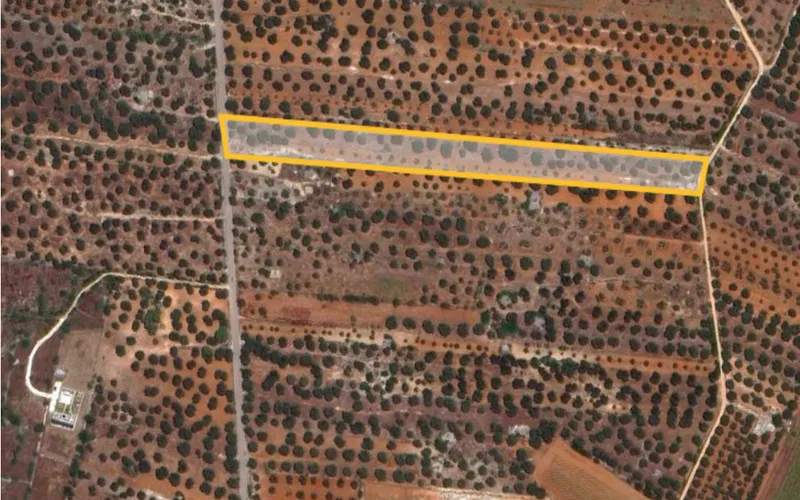 Stavební pozemek 12.500m2