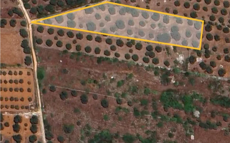Rekreační pozemek 6000m2