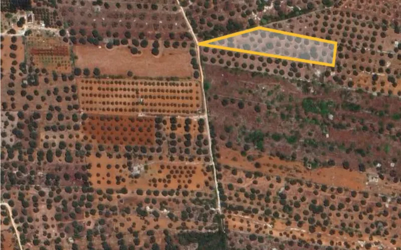 Rekreační pozemek 6000m2