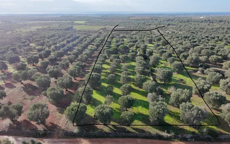 Rekreační pozemek 2.200m2